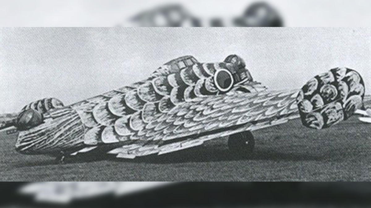 Подойти к 12. Подойти к 12. Подойти к 12. Самолет к 12 жар птица. Бесхвостый бомбардировщик к-12.