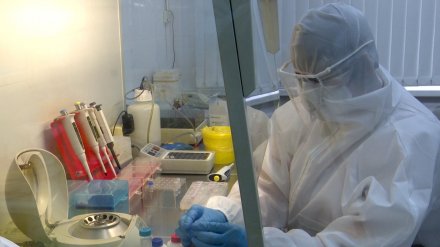 Новую инфекционную больницу в Воронеже построят за Машметом