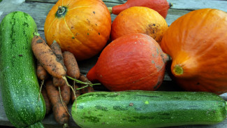 Зоопарк предложил воронежцам поделиться излишками урожая