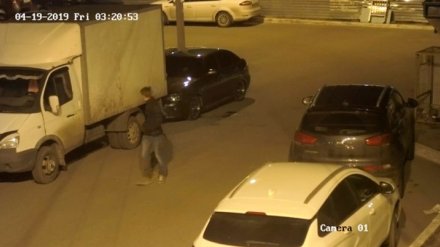 В Воронеже поджигателя авто записали камеры наблюдения