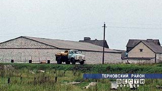 Перерабатывающее производство теряет как минимум 3,5 млн. литров молока ежегодно