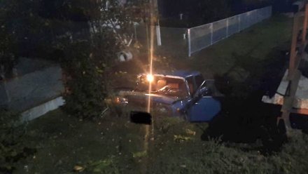 В Воронежской области водитель «пятёрки» вылетел в кювет и разбился