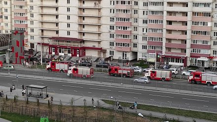 Скопление пожарных машин заметили на улице Крынина в Воронеже