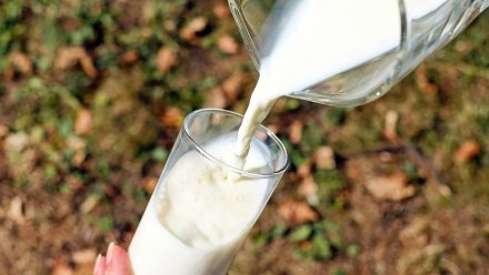 Воронежские производители молока получили 500 миллионов от государства