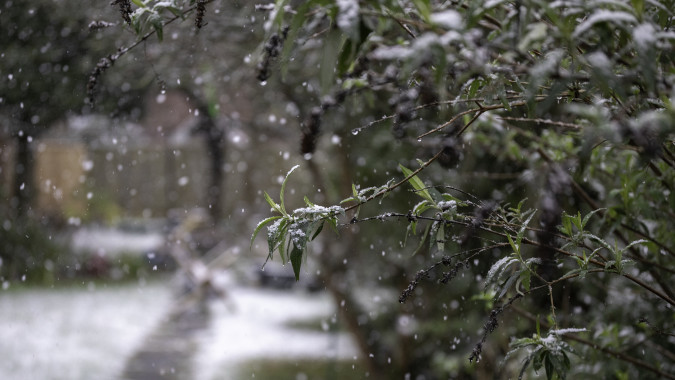 Сотрудники МЧС предупредили воронежцев о сильном ветре