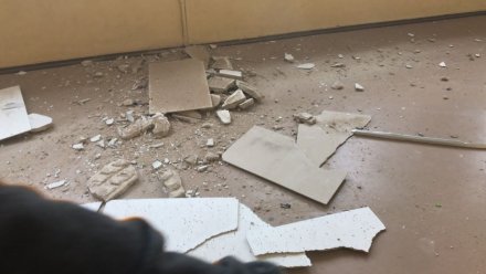 В воронежской школе потолок рухнул на пятиклассницу