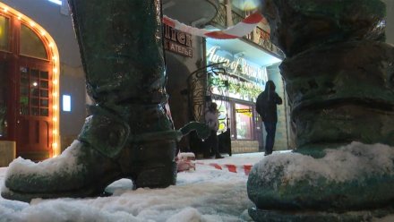 Общественники потребовали убрать скульптуру «‎Сапоги Петра I»‎ из центра Воронежа