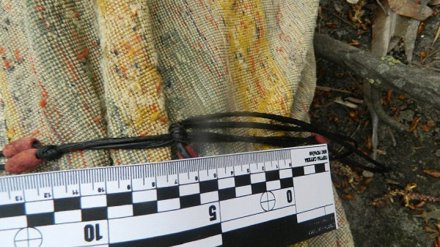 В реке у воронежского села нашли завёрнутого в ковёр зарезанного мужчину