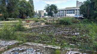 Воронежцам пообещали отремонтировать заброшенный фонтан у «Дельфина» 