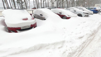 Бесконечные пробки и проблемы с маршрутками. Как Воронеж пережил снежный апокалипсис 