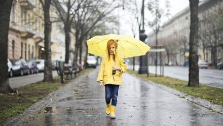 Воронежцам пообещали сильные дожди с градом и грозами на рабочей неделе
