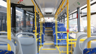 В Воронеже на маршруте №80 появятся новые автобусы