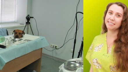 Директор воронежской ветклиники ответила на травлю за улыбки на фото с головами зверей