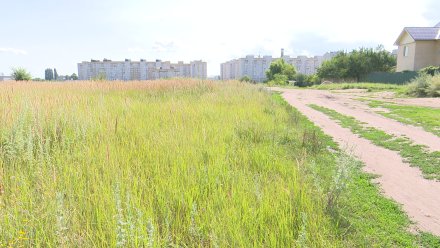 В Воронеже на Остужева планируют построить 21 многоэтажку