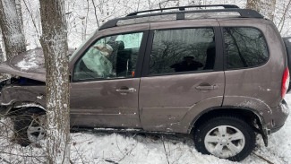 Автомобилистка пострадала в ДТП на заснеженной дороге в Воронежской области