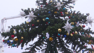 К Новому году на главной площади Воронежа установят светодиодный экран