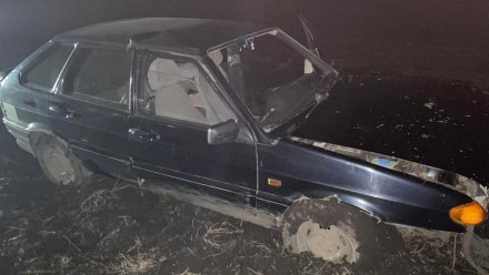 В Воронежской области легковушка вылетела в кювет: двое пострадавших