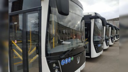 В Воронежской области появятся ещё 43 новых автобуса