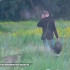 Подросток попытался взорвать машину военнослужащаго в Воронеже