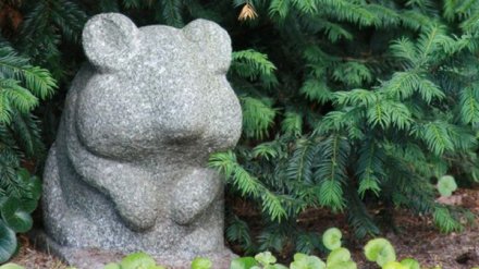 Последний путь хомячка или как хоронят домашних животных в Воронеже