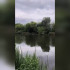 Воронежцы сообщили о незаконной откачке воды из озера Круглое