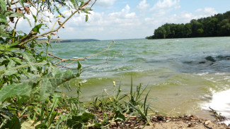 Парусник с пассажирами перевернулся на Воронежском водохранилище