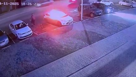 Иностранца отправили в колонию за поджог автомобиля знакомого в Боброве