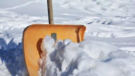 В Воронеже на ночь перекроют движение по одной из центральных улиц