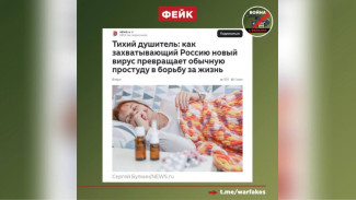 В Воронеже распространили фейк о новом смертельно опасном заболевании
