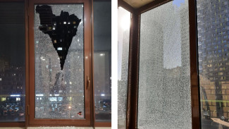 Стрельба по окнам в воронежском жилом массиве привела к проверке полицейских