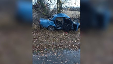 В Воронежской области подросток погиб в ДТП после езды с 16-летним автомобилистом