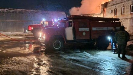 В Воронежской области сгорело кафе