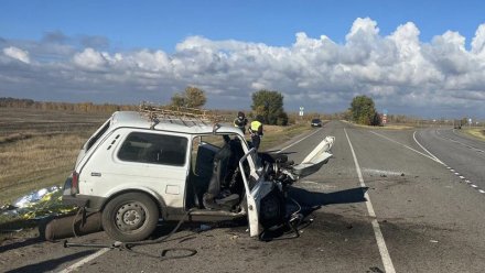 Один человек погиб и пятеро пострадали в ДТП в Эртильском районе