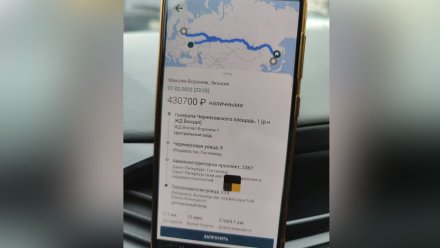 Воронежец вызвал такси до Владивостока почти за полмиллиона рублей
