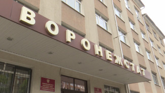 В Воронежской области обнаружили микропредприятия с миллиардными доходами