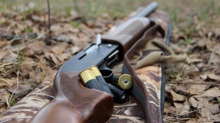 У воронежских браконьеров изъяли оружие, капканы и сети
