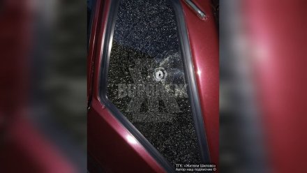 Жители воронежского Шилово сообщили о ночной стрельбе