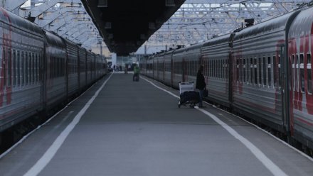 Застрявшим в Рязанской области из-за поломки поезда воронежцам предложили компенсацию