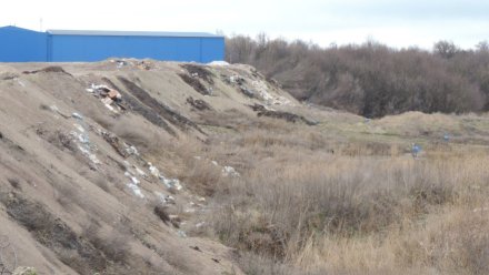 Ущерб из-за крупной свалки у воронежского сахарного завода оценили в 4,2 млн