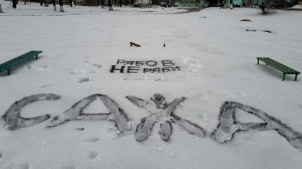 В накрытом шелухой от семечек воронежском райцентре оставили послание главе маслозавода