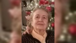 В Воронеже на Рождество пенсионерка ушла на прогулку и пропала без вести