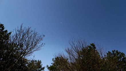 Воронежцев предупредили о приближении дронов ВСУ к границам региона