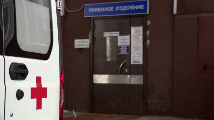 В Воронеже 24-летний парень попал в больницу после ДТП с деревом