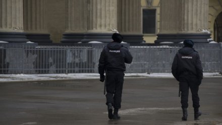 Житель Калининграда ударил по голове воронежского полицейского