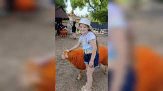 В Воронеже 9-летняя актриса театра драмы стала жертвой нападения огромной крысы