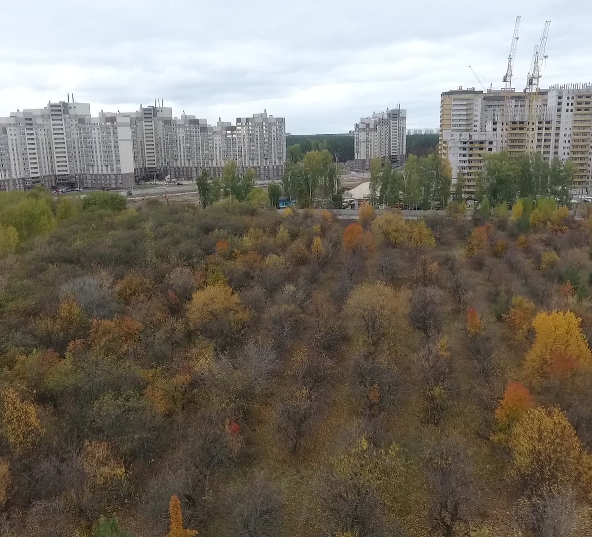 Девелоперы начали интересоваться развитием застроенных территорий в  Воронеже – Новости Воронежа и Воронежской области – Вести Воронеж