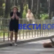 В Воронеже рядом с Северным лесом нашли оленёнка с перебитой ногой