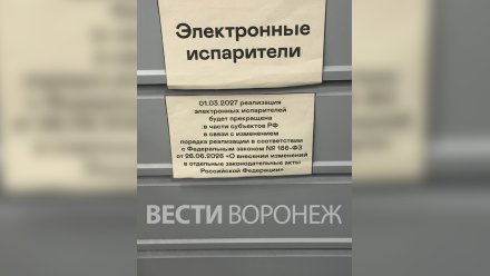 В Воронеже ограничат продажу вейпов