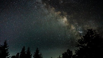 Воронежцы увидят в начале осени один из самых быстрых звездопадов года