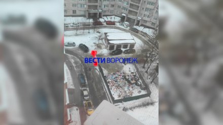 В Воронеже двор на Владимира Невского утонул в мусоре